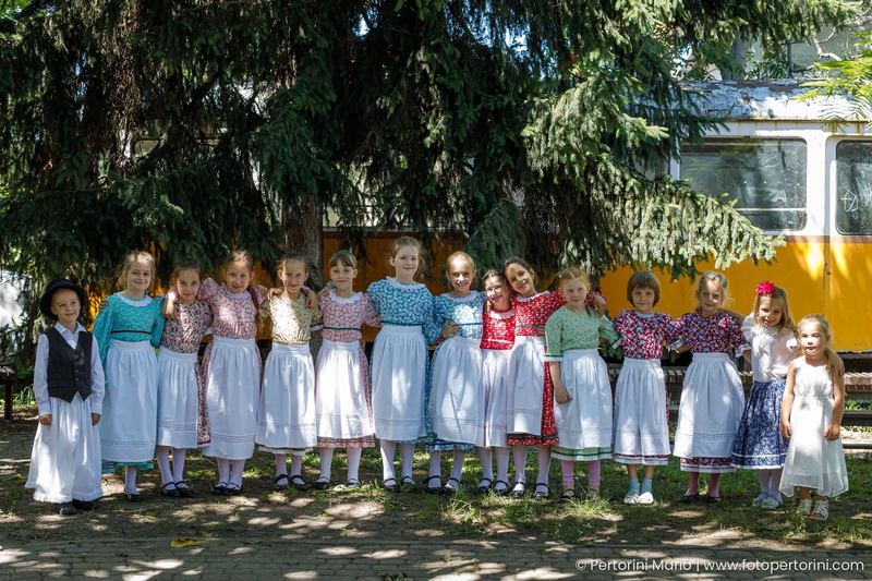 Göncöl Csikók